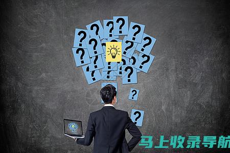 深入探讨：在网站优化中，SEO站长工具如何助力流量分析？