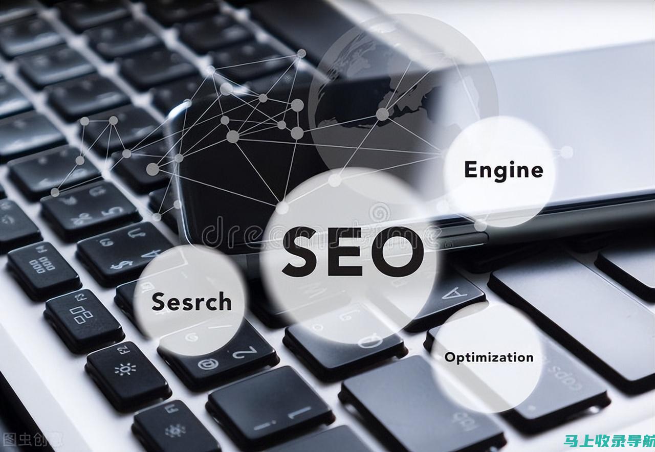 SEO优化实践：结合SEO1网站查询，实现排名飞跃